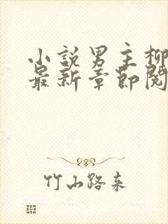 小说男主柳无邪最新章节阅读