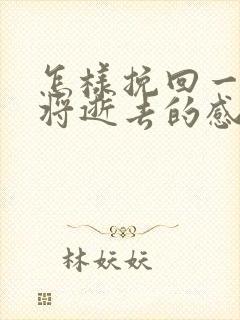 怎样挽回一段即将逝去的感情封面