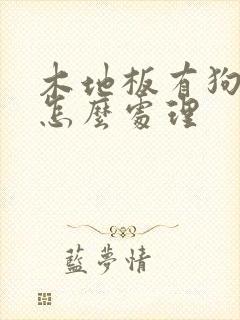 木地板有狗尿味怎么处理