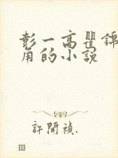 彭一高瞿锦渝主角的小说封面