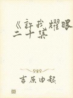 《许我耀眼》第二十集封面