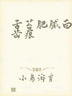 舌苔肥腻白厚有齿痕