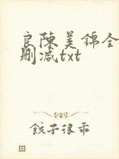 良陈美锦全文无删减txt封面