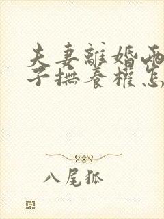 夫妻离婚两个孩子抚养权怎么判定封面