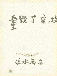 受毁了容,攻重生