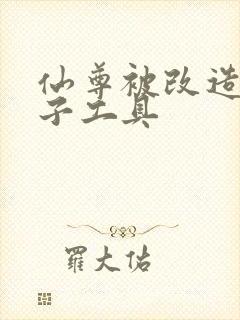 仙尊被改造成产子工具