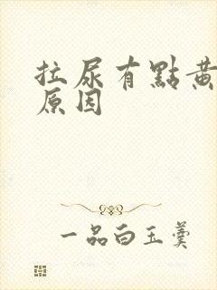 拉尿有点黄什么原因