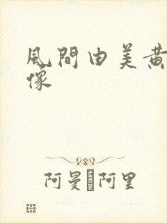 风间由美黄色录像