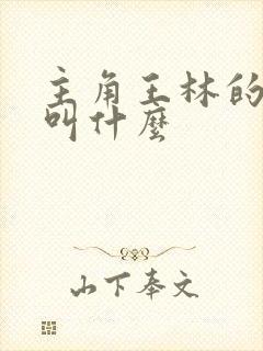 主角王林的小说叫什么