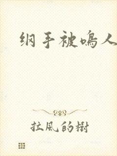 纲手被鸣人爆艹