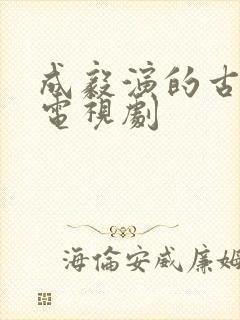 成毅演的古装剧电视剧