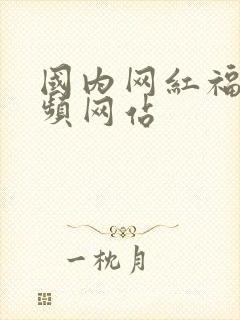 国内网红福利视频网站封面