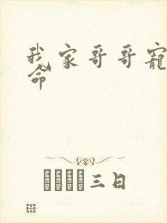 我家哥哥宠妹如命