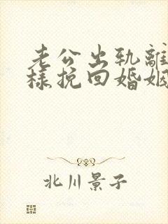 老公出轨离婚怎样挽回婚姻封面