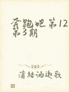 奔跑吧第12季第3期封面