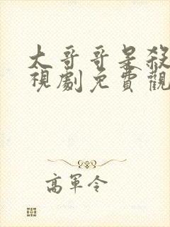 大哥哥是杀手电视剧免费观看全集高清