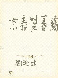 女主叫夏清欢的小说免费阅读