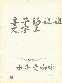 妻子的姐姐3中文字幕封面