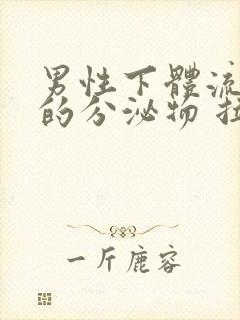 男性下体流黄色的分泌物 拉尿刺痛封面