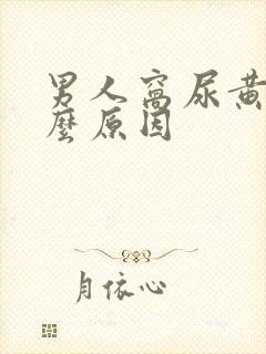 男人窝尿黄是什么原因