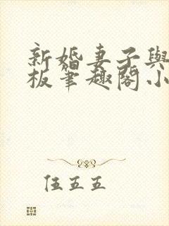 新婚妻子与菜老板笔趣阁小说封面