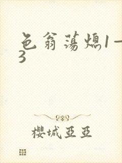 色翁荡熄1—13封面