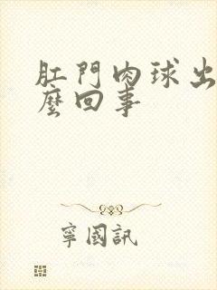 肛门肉球出血怎么回事封面