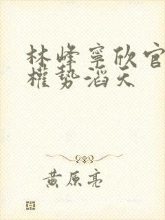 林峰宁欣官道之权势滔天封面