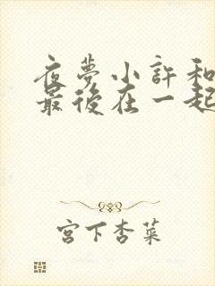 夜梦小许和许笙最后在一起了吗