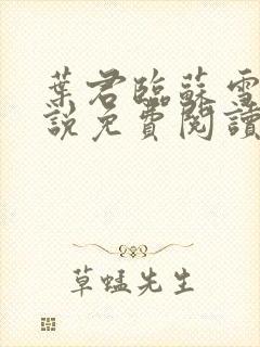 叶君临苏雪儿小说免费阅读最新章节封面