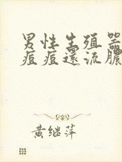 男性生殖器上长痘痘还流脓