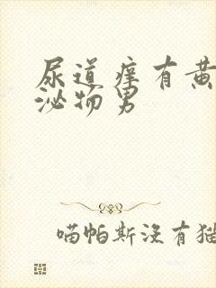 尿道痒有黄色分泌物男