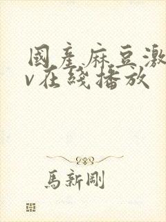 国产麻豆激情av在线播放