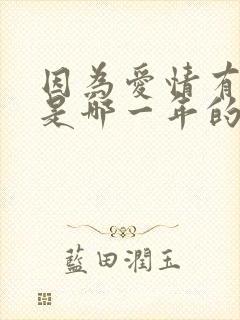 因为爱情有多美是哪一年的