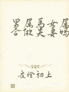 男属马女属猴适合做夫妻吗封面