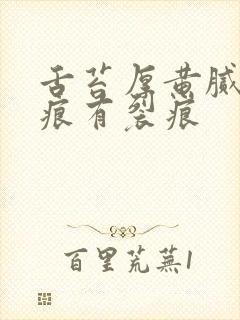 舌苔厚黄腻有齿痕有裂痕封面