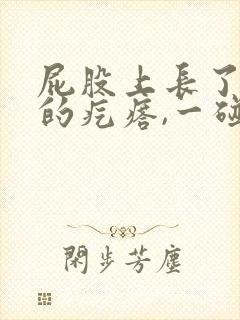 屁股上长了硬硬的疙瘩,一碰特别疼