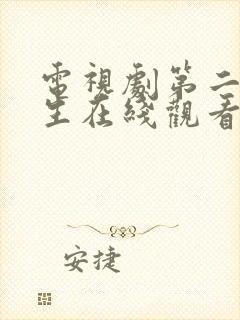 电视剧第二次人生在线观看