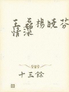 王磊杨晓芬后妈情深