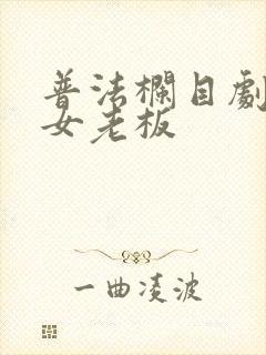 普法栏目剧爱上女老板