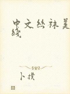 中文丝袜美腿在线封面