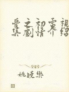 爱之初电视剧全集剧情介绍封面