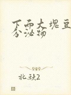 下面大块豆腐渣分泌物