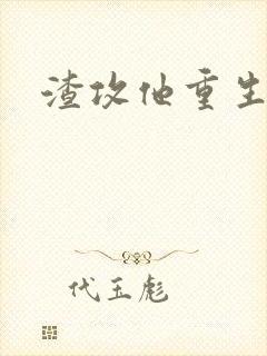 渣攻他重生了封面