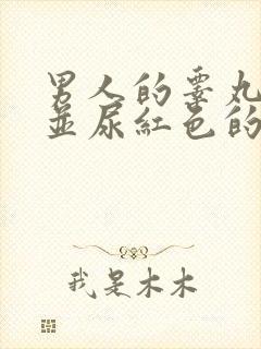 男人的睾丸疼痛并尿红色的尿