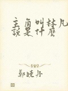 主角叫林凡的小说是什么