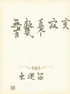 无敌真寂寞女主有几个封面