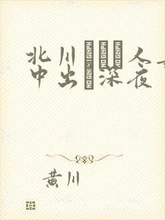 北川エリカ人妻中出し深夜