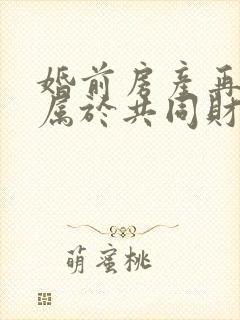 婚前房产再婚后属于共同财产吗?