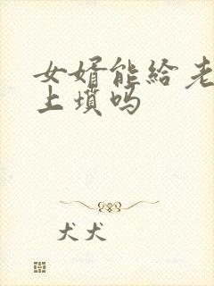 女婿能给老丈人上坟吗封面